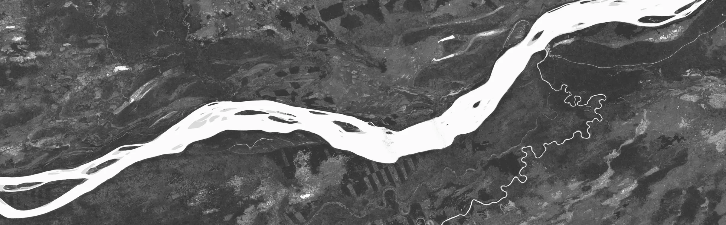 The Peace River seen from orbit as a measure of plant life: a pale, braided river crossing dark boreal forest, with a small tributary winding in from below.